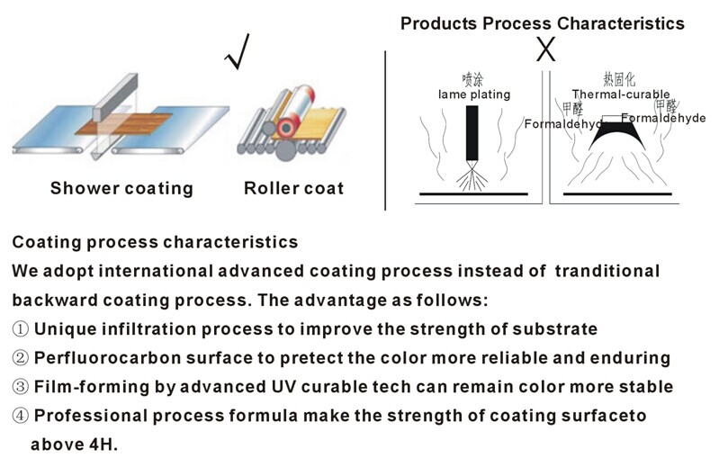 Fireproof UV Coating Fiber Cement Wall Panel