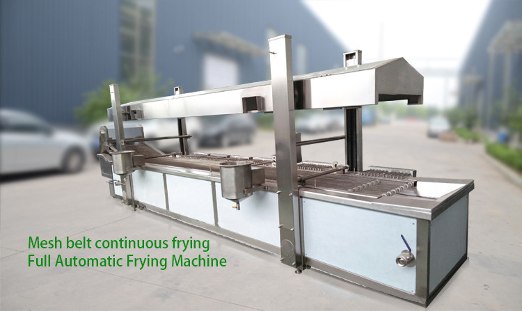 500KG/H Industrial Frying Machine LNG Chicken French Fries Machine