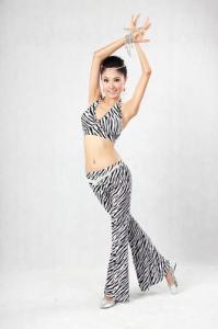 China 2pcs Animal Printed Belly Dance Training Wear With Pants &amp; Bras Belly Dance Clothes wholesale
