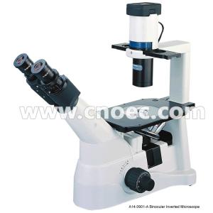 China Phase Contrast Inverted Optical Microscope wholesale