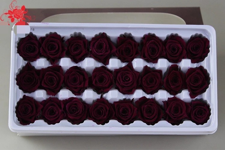 Wholesale real preserved rose stabilized natural preserved fresh flowers for Valentines day