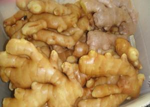 China SGS organic Fresh Air Dried ginger to cure cough wholesale