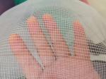 Agricultural Anti Insect Net for Vegetable Gardens Insect Mesh
