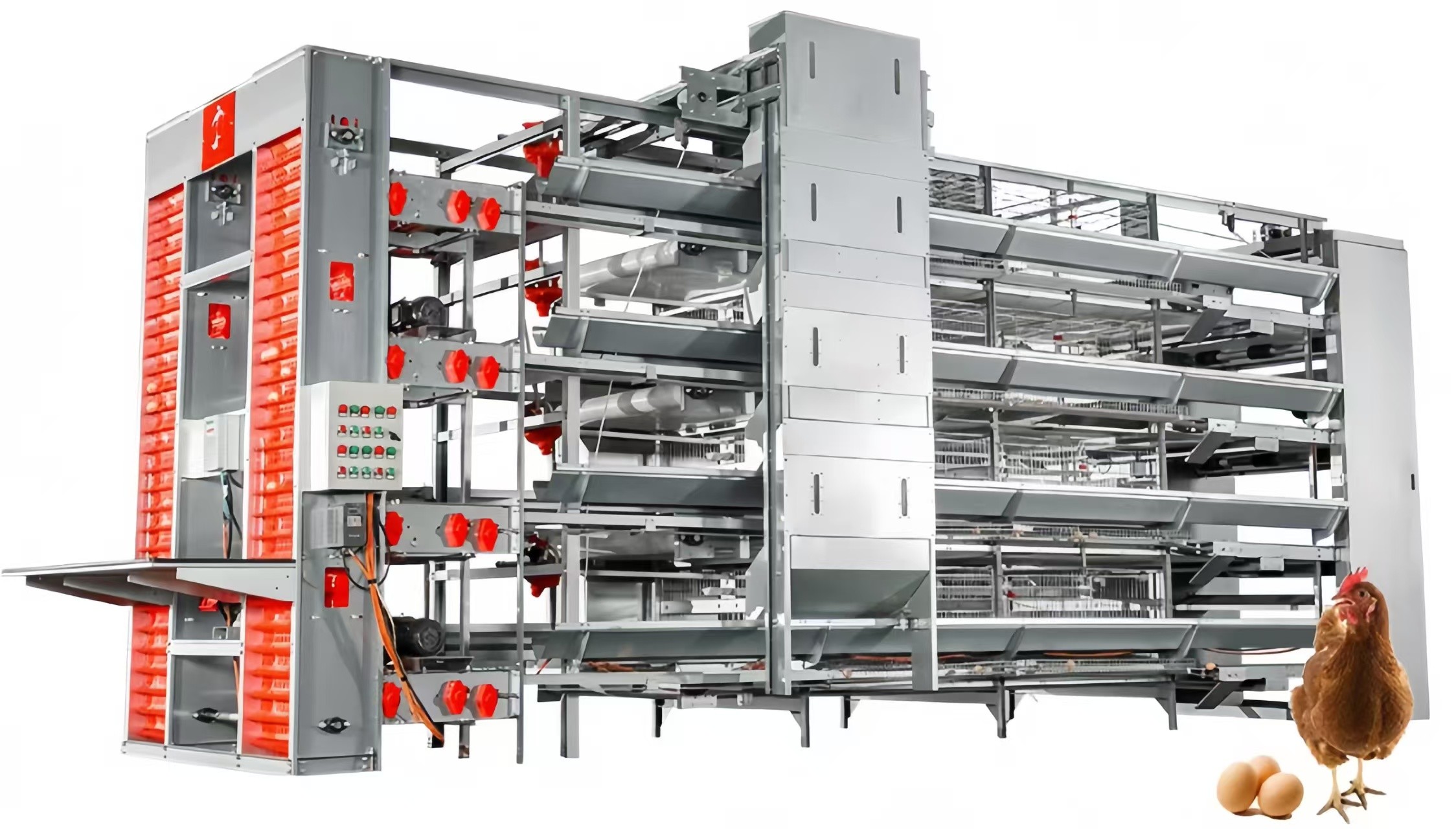 Automatic Layer Battery Chicken Cages 4 Tiers 5 Tiers Agricultural Poultry Farming Cage