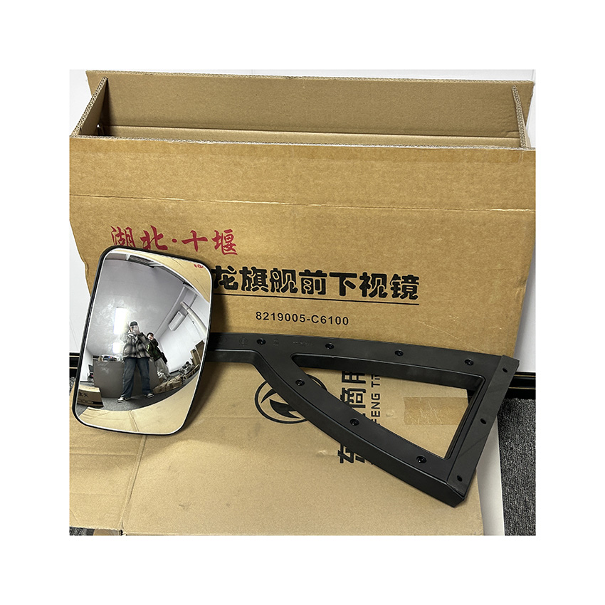 STEYR KING Mirror Front Down Mirror 8219005-C6100 for SINOTRUK CNHTC Car Fitment