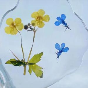 China Applications of Polyaspartic Polyurea Resin wholesale