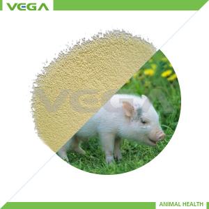 China Kitasamycin 10%/50% China Manufacturer with GMP wholesale