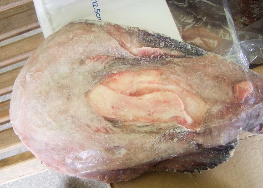 Whole Monkfish Gutted Iqf Brc Haccp Lophius Litulon No Additives Chemical Off Round