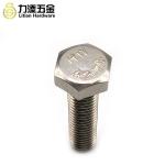 Din933 Din931 Hex Head Self Tapping Screws 304 Stainless Steel A4-80
