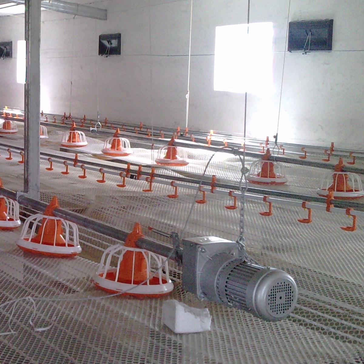 0.75 Kw Italy Gear Motor For Feeding Line Poultry Farm System