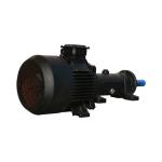 Industrial Permanent Magnet Synchronous Electric Motor Dc Machine For Heavy Duty