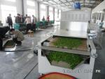 20kw Microwave Green Tea Drying Machine Flower Tea Sterilizing CE Certificed