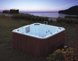 China Outdoor Spa MODEL:F17 wholesale
