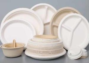 China Sustainable Paper Pulp Tableware Eco-Friendly Disposable Tableware wholesale