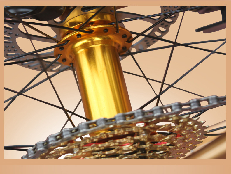 Gold 30 Speed 26x4.0 Inch Fat Wheel Mountain Bike