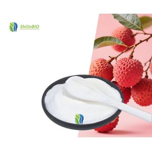 China Fruit Powder Litchi Juice Powder Litchi Fruit Powder on sale