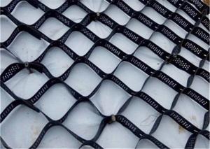 China Soft Soil Foundation Plastic Geocell 50mm High wholesale