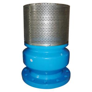 China Lightweight Foot Valve Good Interchangeability Reliable Sealing No Leakage wholesale