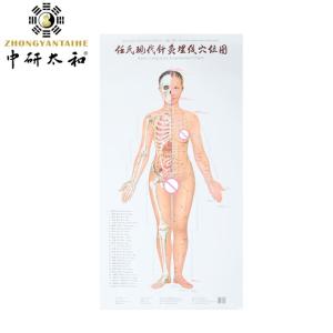 China Body Meridian Acupuncture Culture Modern Acupuncture And Embedding Point wholesale