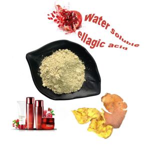 China Anti Inflammatory Pomegranate Extract Ellagic Acid Cosmetic Grade wholesale