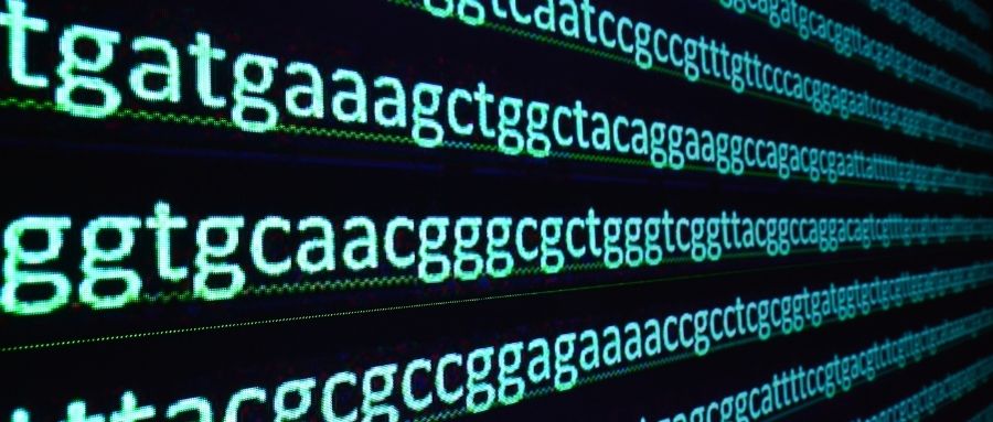 OEM / ODM Oligo Deprotection Machine DNA RNA Oligo Deprotector