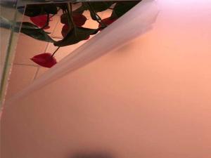 China 4x8 Foot Large Acrylic Mirror Sheet wholesale