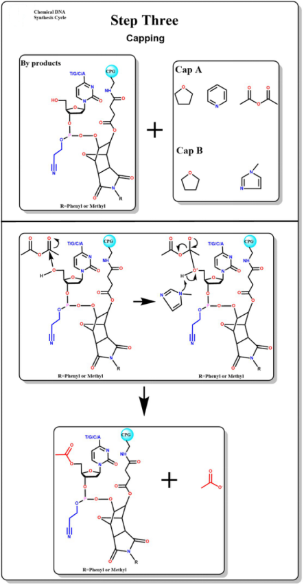 Single-channel Oligo Synthesis Platform Manufacture DNA And RNA In 6-8 Minutes