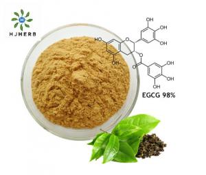 China Solvent Extraction 100% Food Additives Green Tea Extract Powder wholesale