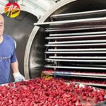 High Capacity Industrial Lyophilizer Freeze Dryer for Food Fruit Vegetable Meat