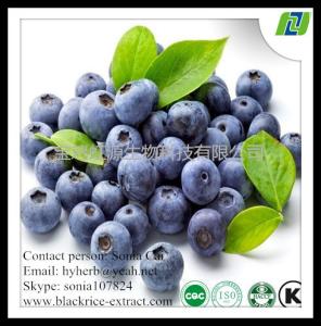 China 100% natural Blueberry Extract wholesale