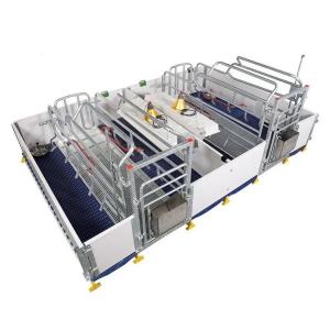 China Livestock Pig Farm Equipment Farrowing Bed For Sow wholesale