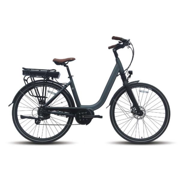 Quality 12" Portable Electric Bike Fat Tire For 350 Lb 400 Lb Person 200w E Bike for sale