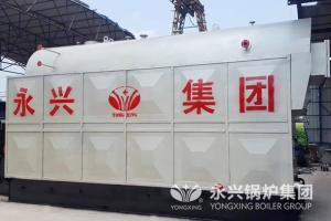 China Wood Fired Steam Boiler DZL Type Chain Grate Stoker wholesale