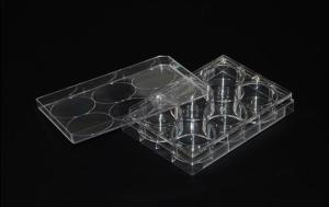 China Laboratory Plastic Culture Plate Petri Plate Square Shape wholesale