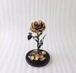 Natural Fresh Roses Flowers Everlasting Preserved Eternal Rose beautiful Rose