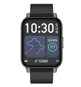 China ROHS Approval ECG Watch Smart Fitness Tracker wholesale
