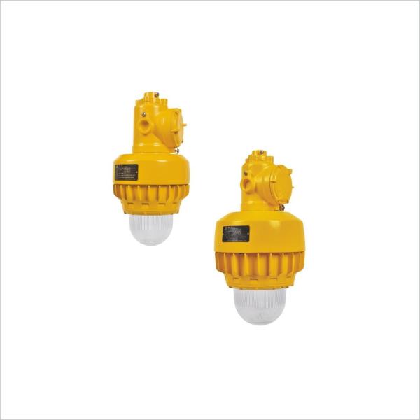 HRD91-LED Series Explosion Proof Led Lighting 30W 50W 70W 100W For Hazardous