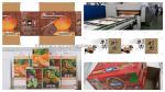 High Definition Flexo Printing Slotting Rotary Die-Cutting Machine