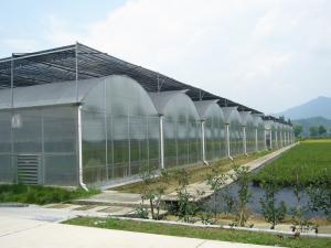 China Bolting Connection Polycarbonate Panel Greenhouse , Durable Dome Shaped Greenhouse wholesale