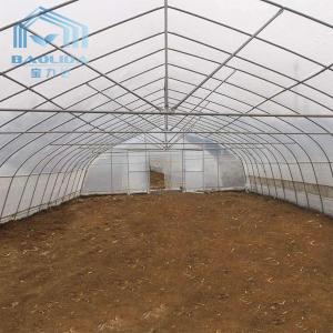 China Hot Aluminized Zinc Single Span Plastic Film Greenhouse 8m Width wholesale
