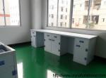 Chemsurf Chemical Resistant Laminate Workstation For Dealers Price