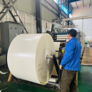 China Bio Paper Cup Raw Material 185gsm 190gsm PE Paper Roll wholesale