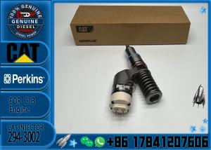 China Factory Direct Supply Common Rail Injector 249-0709 294-3002 294-3002 10R-6162 2490709 2943002 wholesale