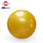 65CM PVC Yoga Massage Ball , Ecofriendly Yoga Stability Ball For Exercise