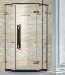 China shower enclosure shower glass,shower door E-3009 wholesale