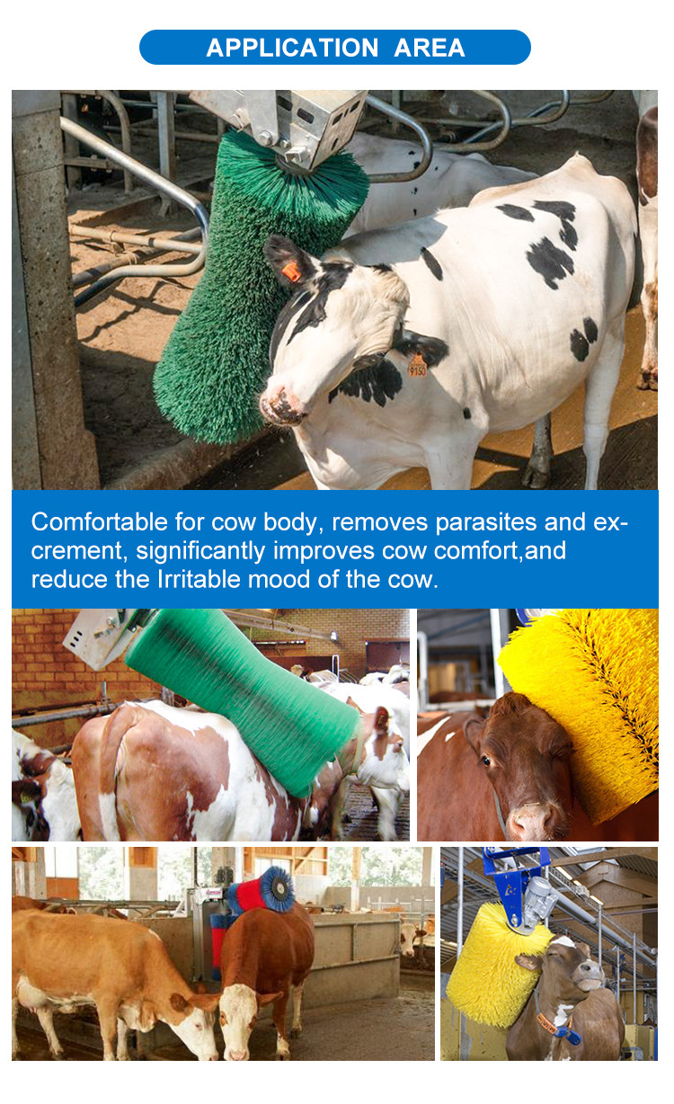 Horizontal Position PP Nylon Automatic Cattle Scratch Brushes