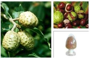 China Horse Chestnut P.E., Aescin 20% ,CAS NO.: 6805-41-0, 100% natural anti-inflammatory and antioxidant , reishi mushroom wholesale