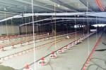 Q235B Steel Structure Poultry House Painted Steel Frame Chicken Coop