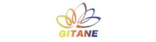 China Beijing Shougang Gitane New Materials Co., Ltd. logo