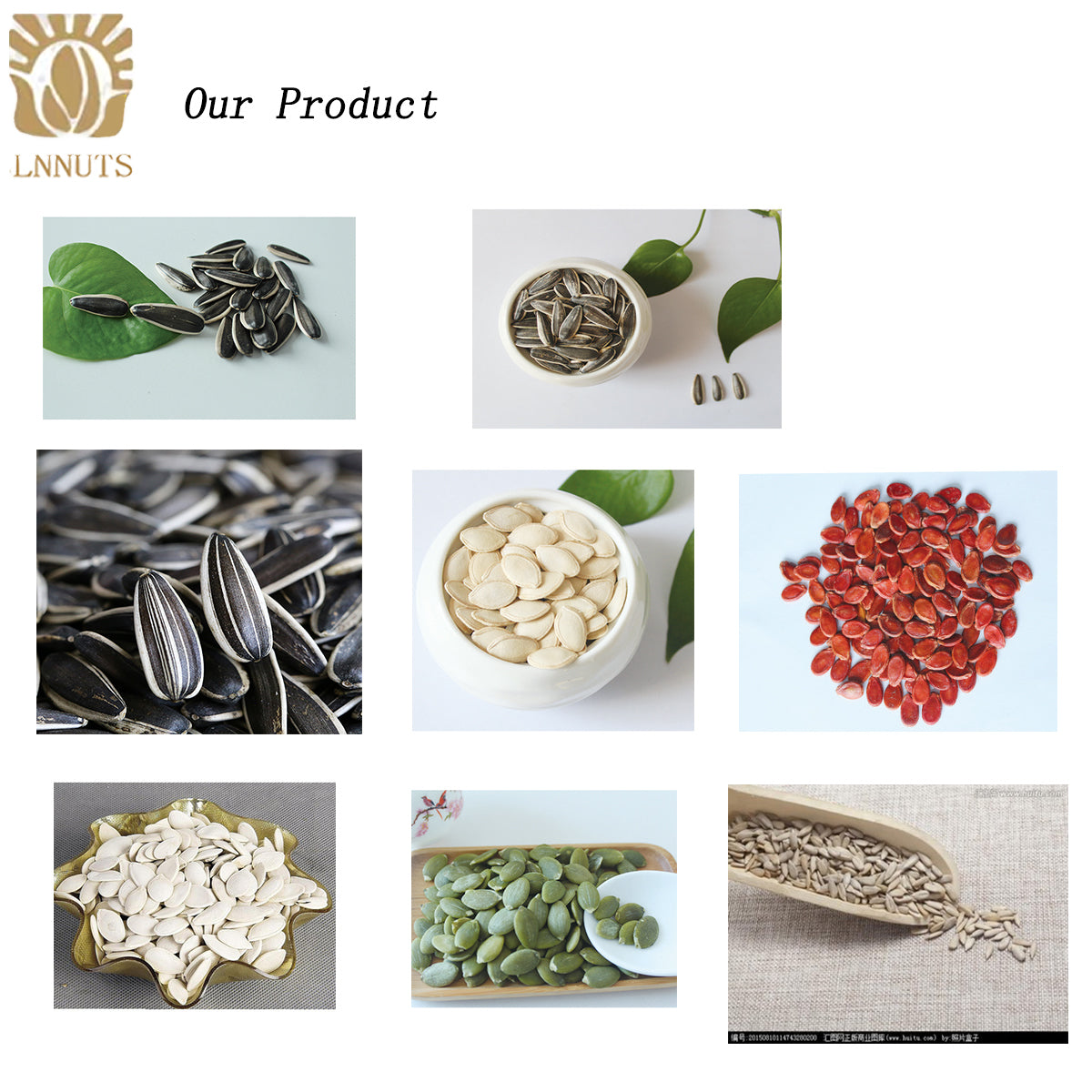 From Xinjiang China walnuts Chinese 185 walnut in shell walnuts for sale cheaply